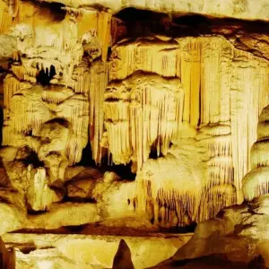 Explore Cape Town and Garden Route for 12 days with ATC Group and discover unforgettable experiences - Photo 5