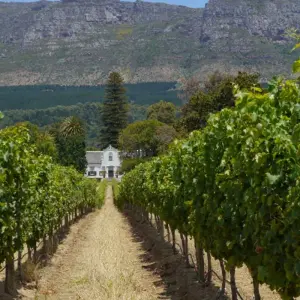 Explore Cape Town, Garden Route and Eastern Cape for 12 days with ATC Group and discover unforgettable experiences - Photo 8