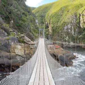 Explore Cape Town and Garden Route for 12 days with ATC Group and discover unforgettable experiences - Photo 9