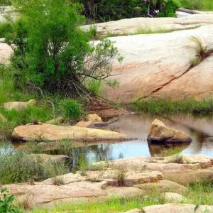 Explore Kruger Park Highlights for 4 days with ATC Group and discover unforgettable experiences - Photo 8