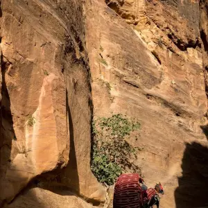 Explore Petra and Madaba 2-Day Tour from Jerusalem for 2 days with Abraham Tours and discover unforgettable experiences - Photo 5