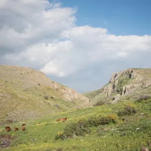 Explore Jesus Trail on Budget 5-Day Hike from Nazareth to the Sea of Galilee for 5 days with Abraham Tours and discover unforgettable experiences - Photo 6