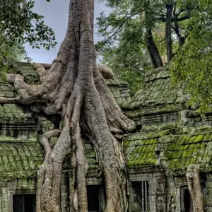 Explore Cambodia 8 day from Angkor Wat to Phnom Penh, Kampot and Koh Rong for 8 days with About Cambodia Travel & Tours and discover unforgettable experiences - Photo 3
