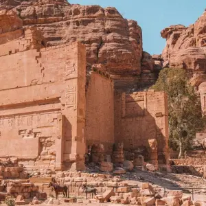 Explore Petra and Wadi Rum 3-Day Tour from Jerusalem for 3 days with Abraham Tours and discover unforgettable experiences - Photo 11