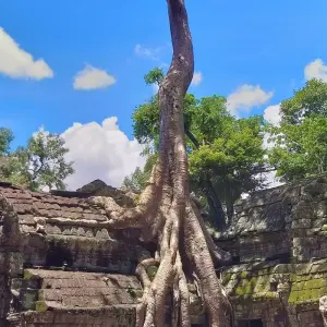 Explore Cambodia Adventure 10 Days All Highlight Tour for 10 days with About Cambodia Travel & Tours and discover unforgettable experiences - Photo 6
