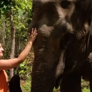 Explore Phnom Tamao Wildlife Center & Buddha Kiri Cambodia private Day Tour from Phnom Penh for 1 days with About Cambodia Travel & Tours and discover unforgettable experiences - Photo 10