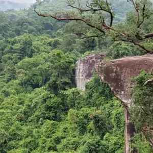 Explore Jungle Trekking at Kbal Spean and Banteay Srei with Cambodia Landmine Museum Private Tour for 1 days with About Cambodia Travel & Tours and discover unforgettable experiences - Photo 7