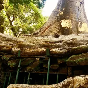 Explore Highlight of Cambodia 5 Days Tour From Siem Reap to Phnom Penh for 5 days with About Cambodia Travel & Tours and discover unforgettable experiences - Photo 9