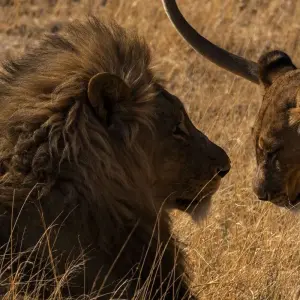 Explore Namibia Nomad for 23 days with Absolute Africa and discover unforgettable experiences - Photo 2