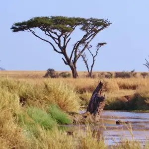 Explore Namibia Nomad for 23 days with Absolute Africa and discover unforgettable experiences - Photo 4