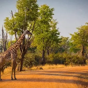 Explore Namibia Nomad for 23 days with Absolute Africa and discover unforgettable experiences - Photo 5