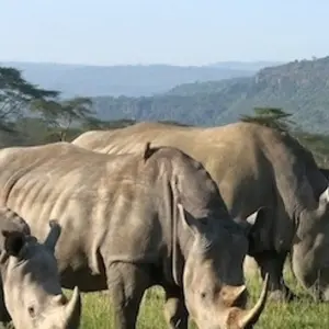 Explore Taste of Africa for 26 days with Absolute Africa and discover unforgettable experiences - Photo 3