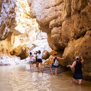 Explore The Absolute Safari for 77 days with Absolute Africa and discover unforgettable experiences - Photo 2