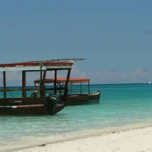 Explore Taste of Africa for 26 days with Absolute Africa and discover unforgettable experiences - Photo 5