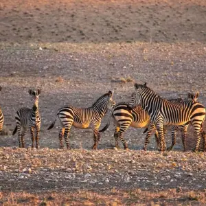 Explore Namibia Nomad for 23 days with Absolute Africa and discover unforgettable experiences - Photo 9