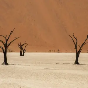Explore The Absolute Safari for 77 days with Absolute Africa and discover unforgettable experiences - Photo 4