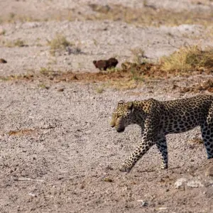 Explore The Southern Cross for 37 days with Absolute Africa and discover unforgettable experiences - Photo 7