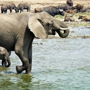 Explore Taste of Africa for 26 days with Absolute Africa and discover unforgettable experiences - Photo 9