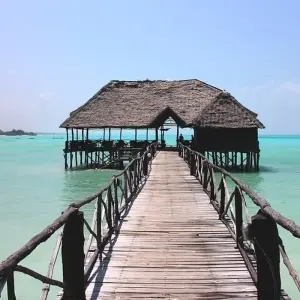 Explore Taste of Africa for 26 days with Absolute Africa and discover unforgettable experiences - Photo 11