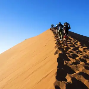 Explore The Absolute Safari for 77 days with Absolute Africa and discover unforgettable experiences - Photo 9