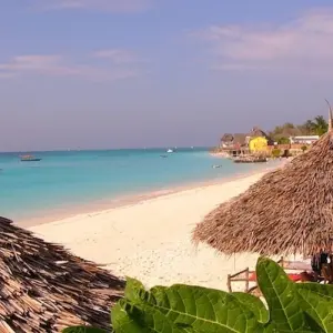 Explore Rainforests and Reefs for 18 days with Absolute Africa and discover unforgettable experiences - Photo 3