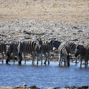 Explore The Southern Cross for 37 days with Absolute Africa and discover unforgettable experiences - Photo 11