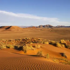 Explore African Drums for 60 days with Absolute Africa and discover unforgettable experiences - Photo 8