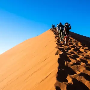 Explore The Absolute Safari for 77 days with Absolute Africa and discover unforgettable experiences - Photo 11