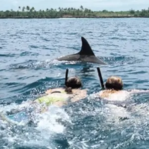 Explore Rainforests and Reefs for 18 days with Absolute Africa and discover unforgettable experiences - Photo 4