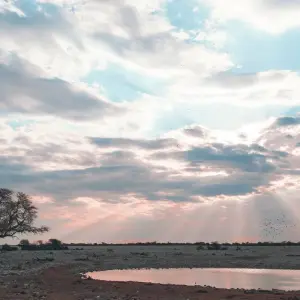 Explore Tusker Trails for 37 days with Absolute Africa and discover unforgettable experiences - Photo 8