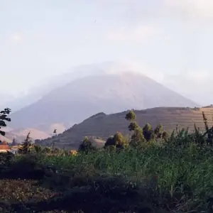 Explore A Week In Gorilla Lands for 8 days with Absolute Africa and discover unforgettable experiences - Photo 6