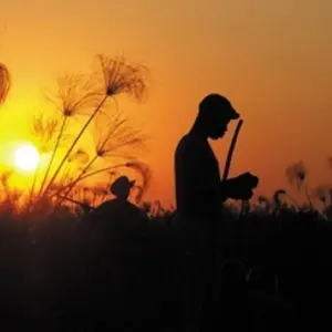 Explore Botswana Safari for 6 days with Absolute Africa and discover unforgettable experiences - Photo 5