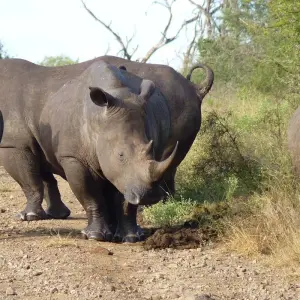 Explore Northern Trails for 73 days with Absolute Africa and discover unforgettable experiences - Photo 9