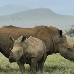 Explore Northern Trails for 73 days with Absolute Africa and discover unforgettable experiences - Photo 11