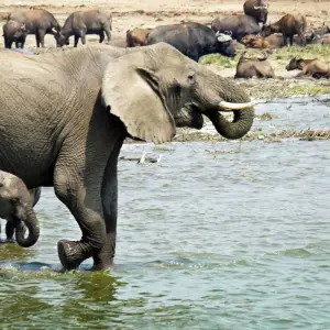 Explore 11-day Zanzibar to Serengeti (Accommodated) for 11 days with Acacia Adventure Holidays and discover unforgettable experiences - Photo 4
