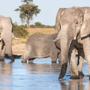 Explore 11-day Zanzibar to Serengeti (Camping) for 11 days with Acacia Adventure Holidays and discover unforgettable experiences - Photo 5