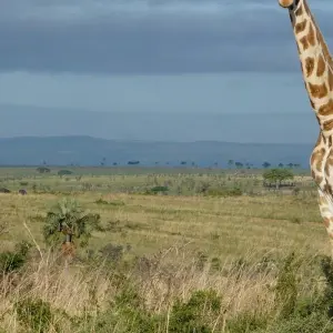 Explore 11-day Zanzibar to Serengeti (Accommodated) for 11 days with Acacia Adventure Holidays and discover unforgettable experiences - Photo 5
