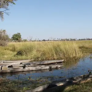 Explore 12-day Okavango Delta & Etosha Express (Camping) for 12 days with Acacia Adventure Holidays and discover unforgettable experiences - Photo 8