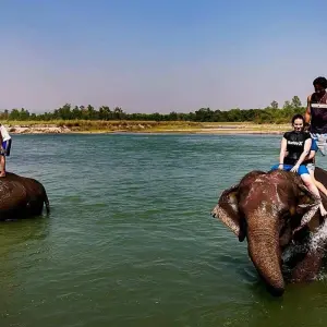 Explore Chitwan Jungle Safari - 3 Days for 3 days with Accessible Adventure Pvt. Ltd and discover unforgettable experiences - Photo 8