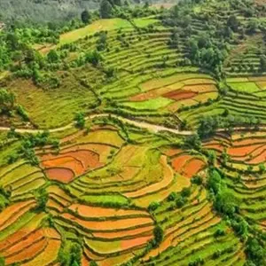 Explore Nagarkot to Chagu Narayan Day Hiking for 1 days with Accessible Adventure Pvt. Ltd and discover unforgettable experiences - Photo 4