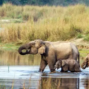 Explore Family Holiday Tour in Nepal for 12 days with Accessible Adventure Pvt. Ltd and discover unforgettable experiences - Photo 2