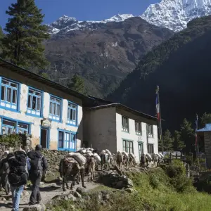 Explore EBC Trek with Heli Flight from Gorakshep for 12 days with Ace the Himalaya and discover unforgettable experiences - Photo 7