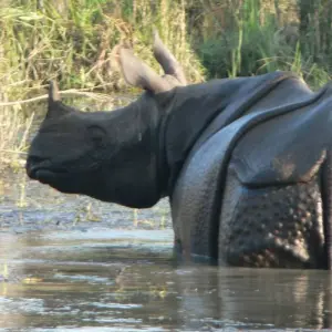 Explore Nepal Highlights for 14 days with Ace the Himalaya and discover unforgettable experiences - Photo 3