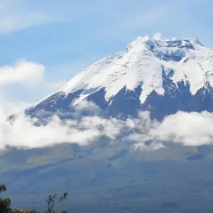Explore Ecuadorian Odyssey  7 Days/ 6Nights for 7 days with Across Caribbean Excursions  and discover unforgettable experiences - Photo 6