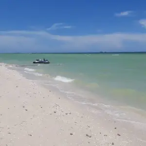 Explore Cancun New year vacation all inclusive adults only  3Days/2Night for 3 days with Across Caribbean Excursions  and discover unforgettable experiences - Photo 3