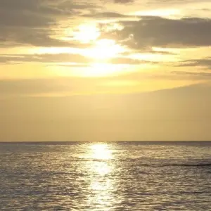 Explore Aruba Highlights 7 Days/6Nights Aruba Vacation Packages All-Inclusive for 7 days with Across Caribbean Excursions  and discover unforgettable experiences - Photo 8