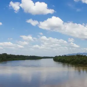 Explore Amazon Rainforest Adventure  4 Days /3nights for 4 days with Across Caribbean Excursions  and discover unforgettable experiences - Photo 2