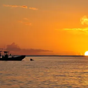 Explore Exploring the Wonders of Martinique 8Days/7nights for 8 days with Across Caribbean Excursions  and discover unforgettable experiences - Photo 3