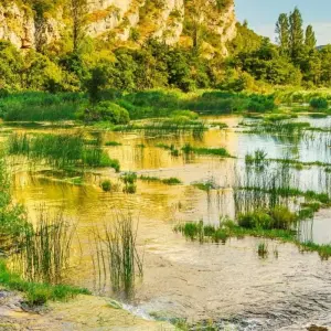 Explore 7 Days/6 Nights: Amazon Adventure in the Javari Valley for 7 days with Across Caribbean Excursions  and discover unforgettable experiences - Photo 3
