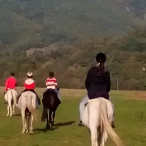 Explore Bulgaria Uncovered: A Private Family Adventure through Mountains, Seaside, and Traditions for 18 days with Across Europe Ltd. and discover unforgettable experiences - Photo 5